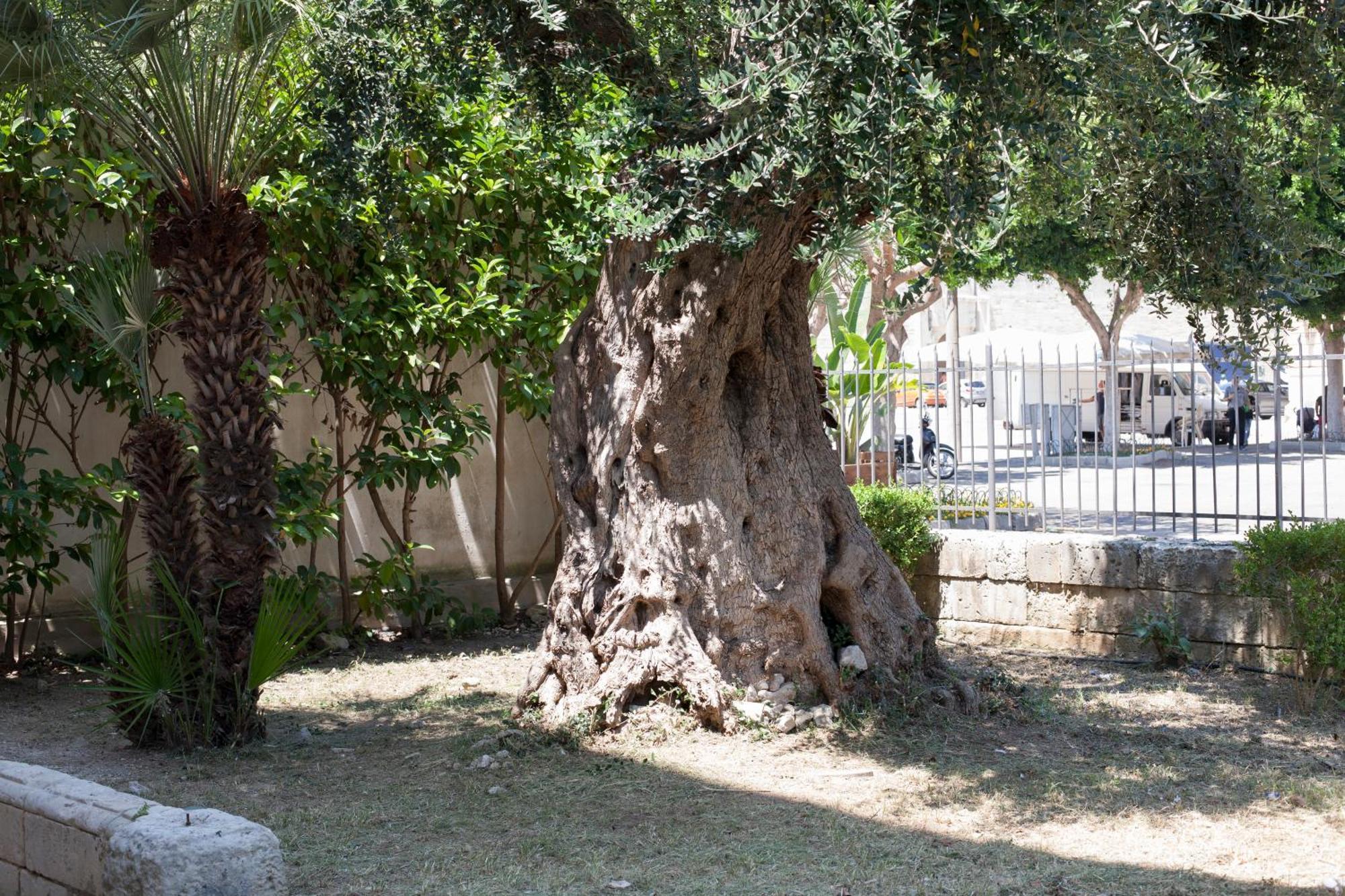 B&B Piazza Libertini Lecce Exteriér fotografie